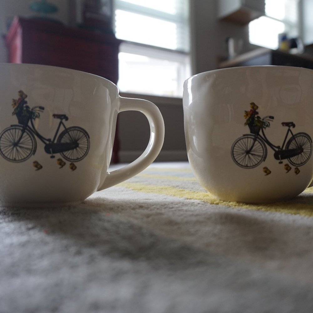 Rae Dunn Bicycle Mugs (2)